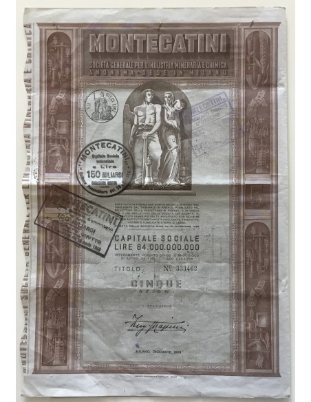 1953 - MONTECATINI - 5 AZIONI - MILANO