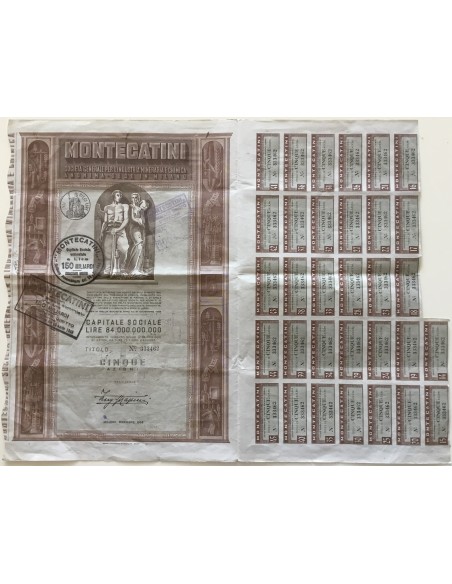 1953 - MONTECATINI - 5 AZIONI - MILANO