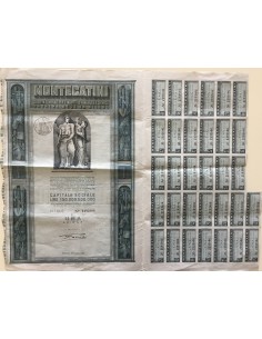 1960 - MONTECATINI - 1 AZIONE - MILANO 2