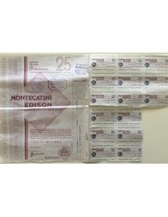 1967 - MONTECATINI EDISON - 25 AZIONI - MILANO 2