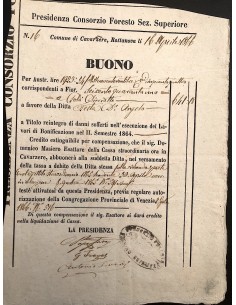 PRESIDENZA CONSORZIO FORESTO SEZ. SUPERIORE CAVARZERE - 1866