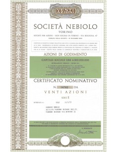 SOCIETA' NEBIOLO TORINO - 20 AZIONI 1977