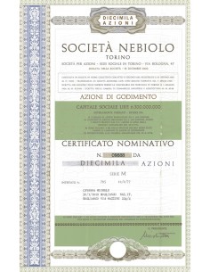 SOCIETA' NEBIOLO TORINO - 10000 AZIONI 1977