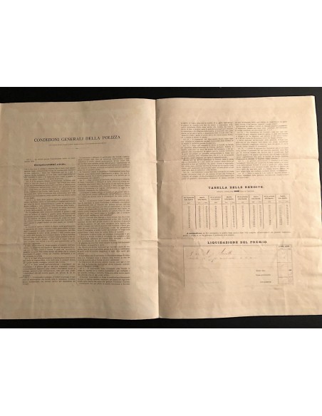 1902 - SOCIETA' ANONIMA ITALIANA DI ASSICURAZIONE CONTRO GLI INFORTUNI - REGGIO EMILIA