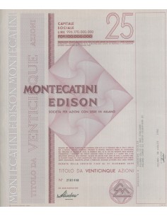 MONTECATINI EDISON - 25 AZIONI MILANO 1982