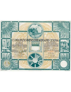 CONSORZIO INDUSTRIE AGRARIE CESENA 20 AZIONI CESENA 1923