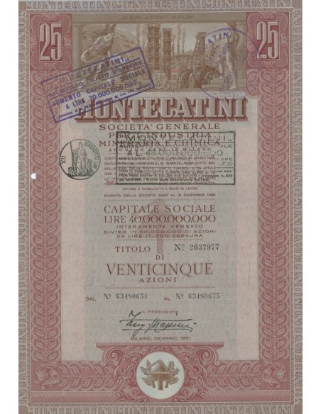 MONTECATINI - CAP.SOC. 40.000.000.000 25 AZIONI MILANO 1951