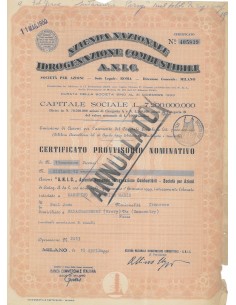 A.N.I.C. CERTIFICATO PROVVISORIO DEFINITIVO DI 19 AZIONI - 1950