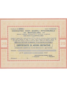 ESSICCATOIO COOP. BOZZOLI INTECOMUNALE MORTEGLIANO AZIONI MORTEGLIANO