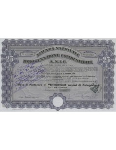 AZIENDA NAZIONALE IDROGENAZIONE COMBUSTIBILI - 25 AZIONI ROMA 1940