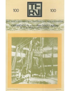 TERNI - SOCIETA' PER L' INDUSTRIA E L' ELETTRICITA' - 100 AZIONI 1970
