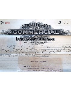 1907 - MICHIGAN COMMERCIAL INSURANCE COMPANY 2