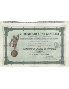 COTONIFICIO LUIGI CANDIANI - 20 AZIONI BUSTO ARSIZIO 1905