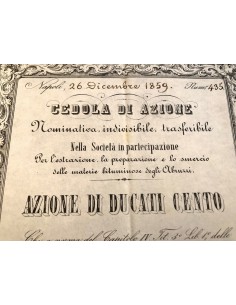 SOC. IN PART. PER L'ESTRAZIONE, LA PREPARAZIONE E LO... 2