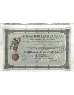 COTONIFICIO LUIGI CANDIANI - 10 AZIONI BUSTO ARSIZIO 1905